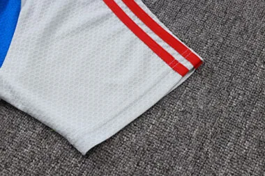 25-26 Bayern Training Kits Polo Tracksuits Cheap Jersey Wholesale Yupoo