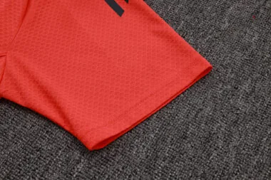 25-26 Bayern Training Kits Polo Tracksuits Cheap Jersey Wholesale Yupoo