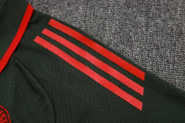 25-26 Bayern Training Kits Polo Tracksuits Cheap Jersey Wholesale Yupoo