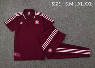 25-26 Bayern Training Kits Polo Tracksuits Cheap Jersey Wholesale Yupoo