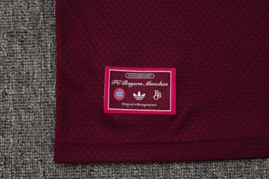 25-26 Bayern Training Kits Polo Tracksuits Cheap Jersey Wholesale Yupoo