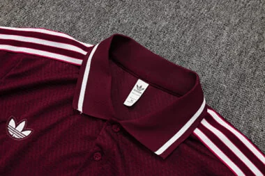 25-26 Bayern Training Kits Polo Tracksuits Cheap Jersey Wholesale Yupoo