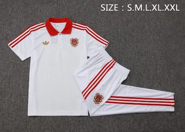 25-26 Bayern Training Kits Polo Tracksuits Cheap Jersey Wholesale Yupoo