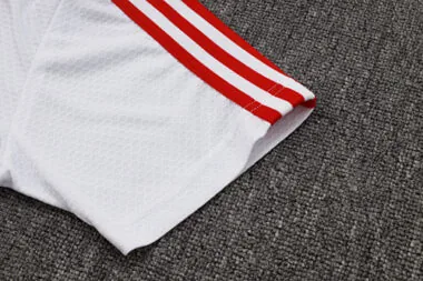 25-26 Bayern Training Kits Polo Tracksuits Cheap Jersey Wholesale Yupoo