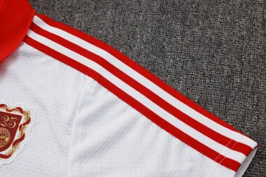 25-26 Bayern Training Kits Polo Tracksuits Cheap Jersey Wholesale Yupoo