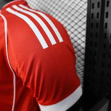 25-26 Player Bayern Special Edition S-XXL
