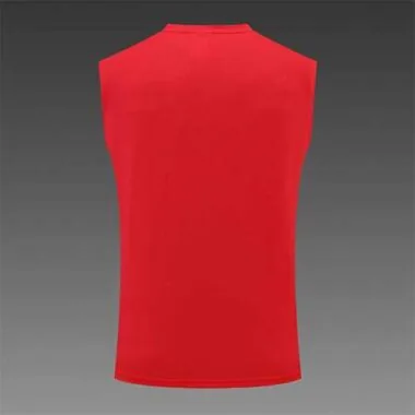2022/23 Bayern vest training suit kit red