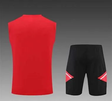 2022/23 Bayern vest training suit kit red