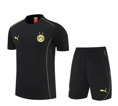 25-26 Dortmund Training Kits Football Tracksuits Cheap Football Jersey Wholesale Yupoo