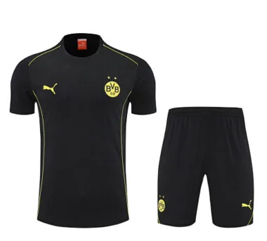 25-26 Dortmund Training Kits Football Tracksuits Cheap Football Jersey Wholesale Yupoo
