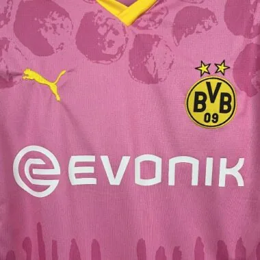 25-26 Dortmund Special Edition S-XXL Cheap Football Jersey Wholesale Yupoo