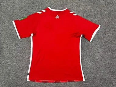 24-25 1. FC Köln Away Soccer Jerseys Yupoo