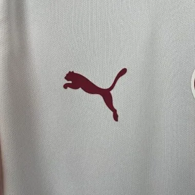 25-26 Galatasarays Away Kit S-2XL Cheap Football Jersey Wholesale Yupoo
