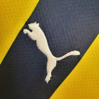 2023/24 Fenerbahce Home