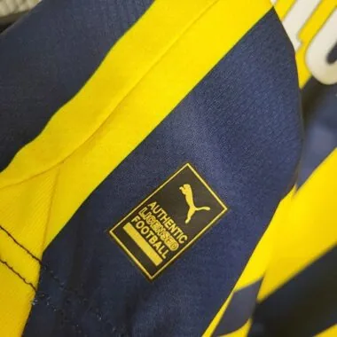 2023/24 Fenerbahce Home