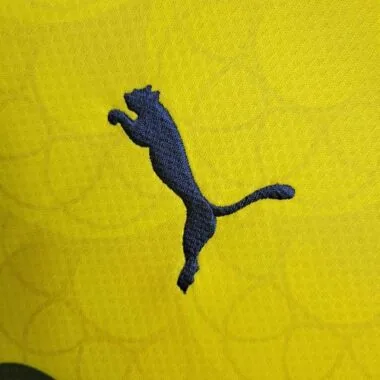 2023/24 Fenerbahce Away
