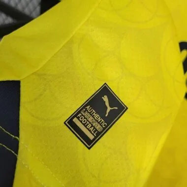 2023/24 Fenerbahce Away