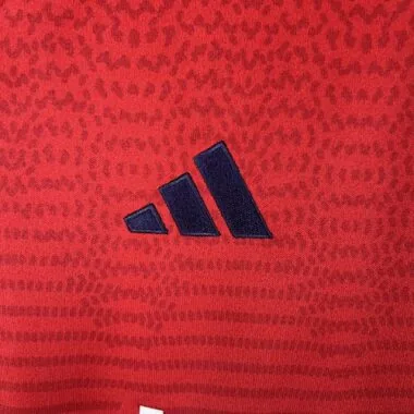 2023/24 Osasuna Home Soccer Jerseys