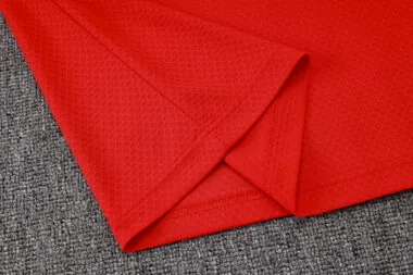 25-26 Flamengo Training Kits Polo Tracksuits Cheap Football Jersey Wholesale Yupoo