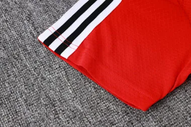 25-26 Flamengo Training Kits Polo Tracksuits Cheap Football Jersey Wholesale Yupoo