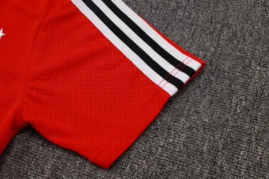 25-26 Flamengo Training Kits Tracksuits Cheap Football Jersey Wholesale Yupoo