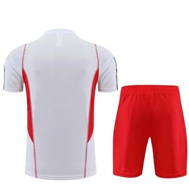 2023/24 Flamengo Training Soccer Jerseys