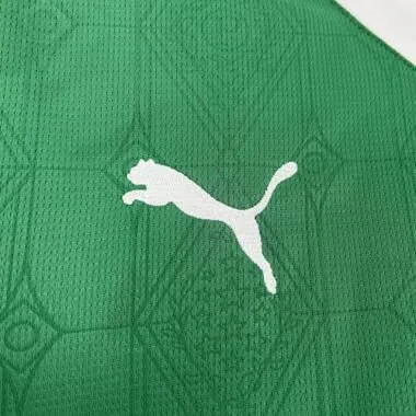 2025/26 Palmeiras Home
