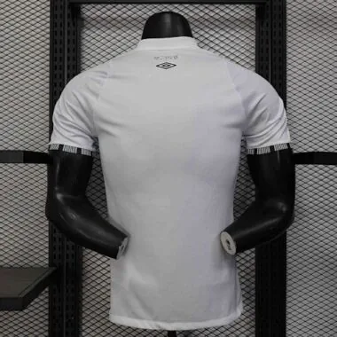 2024/25 Player Santos Home