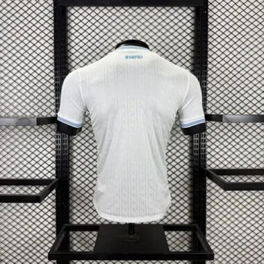 25-26 Player Napoli Away Kit Champions League Cheap Football Jersey Wholesale Yupoo