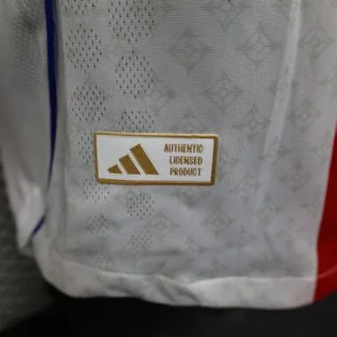 25-26 Player Lyon Home Kit Cheap Football Jersey Wholesale Yupoo