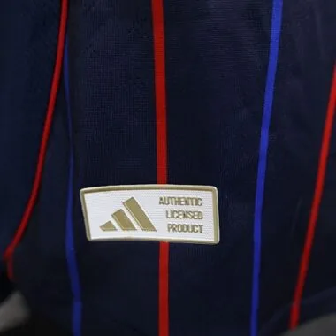 25-26 Player Lyon Away Kit Cheap Football Jersey Wholesale Yupoo