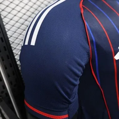 25-26 Player Lyon Away Kit Cheap Football Jersey Wholesale Yupoo