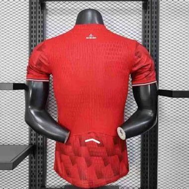 25-26 Player Lille OSC Home Kit Cheap Football Jersey Wholesale Yupoo