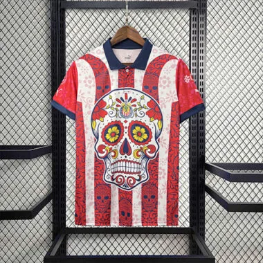 2023/24 Chivas Special Edition best soccer jersey