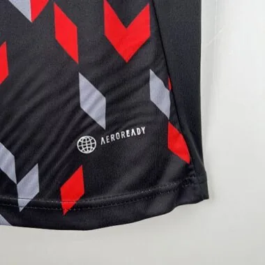 2023/24 Colo-Colo training suit