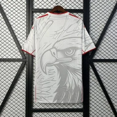 25-26 Benfica Special Edition S-4XL Cheap Football Jersey Wholesale Yupoo