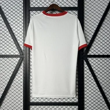 25-26 Benfica Special Edition S-3XL Cheap Football Jersey Wholesale Yupoo