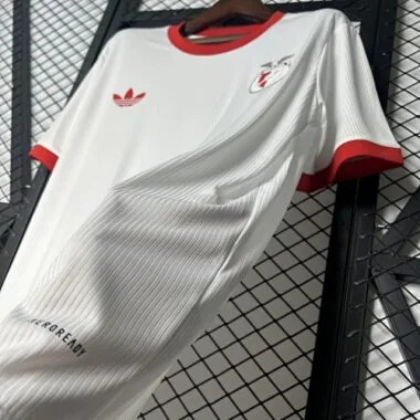 25-26 Benfica Special Edition S-3XL Cheap Football Jersey Wholesale Yupoo