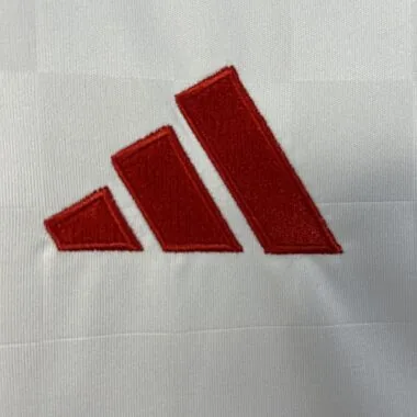 2025/26 Benfica Third Away