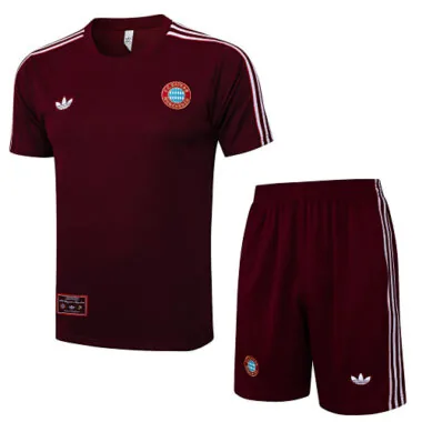 25-26 Bayern Training Kits Tracksuits Cheap Jersey Wholesale Yupoo