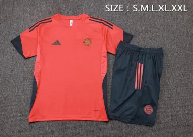 25-26 Bayern Training Kits Tracksuits Cheap Jersey Wholesale Yupoo