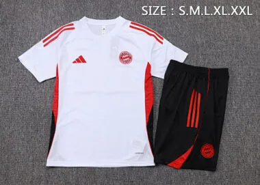 25-26 Bayern Training Kits Tracksuits Cheap Jersey Wholesale Yupoo