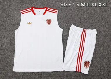 25-26 Bayern Sleeveless Training Kits Tracksuits Cheap Jersey Wholesale Yupoo