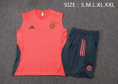 25-26 Bayern Sleeveless Training Kits Tracksuits Cheap Jersey Wholesale Yupoo
