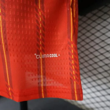 2026 Player Spain Home Kit Two Stars S-4XL Cheap Football Jersey Wholesale Yupoo