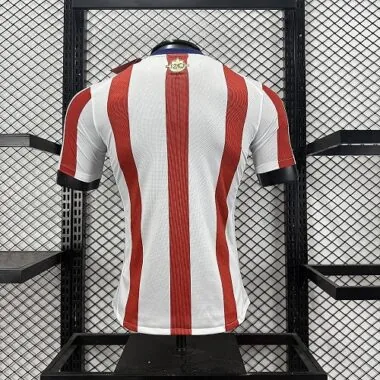 26-27 Player Chivas 120th Anniversary Kit Cheap Football Jersey Wholesale Yupoo