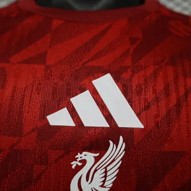 26-27 Player Liverpool FC Pre-match Kit Cheap Football Jersey Wholesale Yupoo