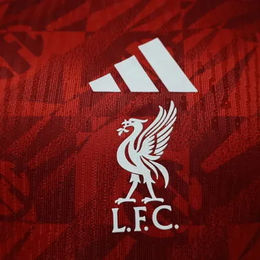 26-27 Player Liverpool FC Pre-match Kit Cheap Football Jersey Wholesale Yupoo