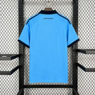 26-27 Paris FC Away Kit S-4XL Cheap Football Jersey Wholesale Yupoo