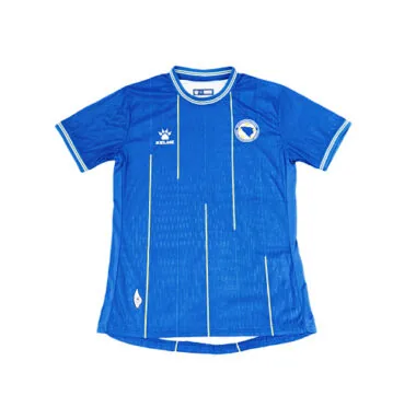 2026-27 Player Bosnia and Herzegovina Home Kit World Cup Cheap Football Jersey Wholesale Yupoo